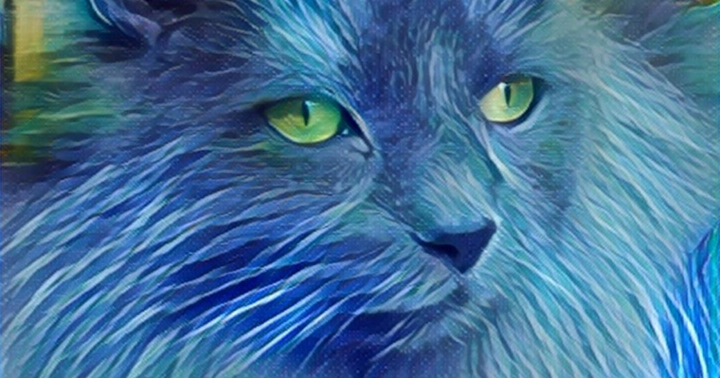 Image of blue cat with green eyes