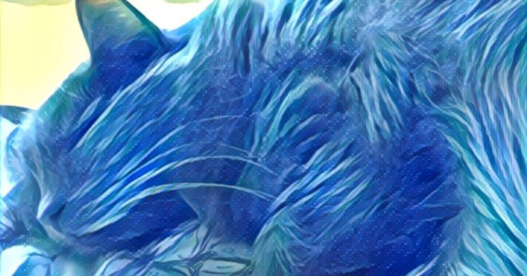 Image of blue cat asleep